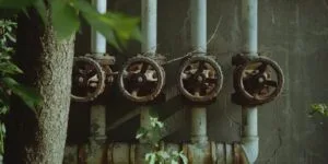 Barubu Jws